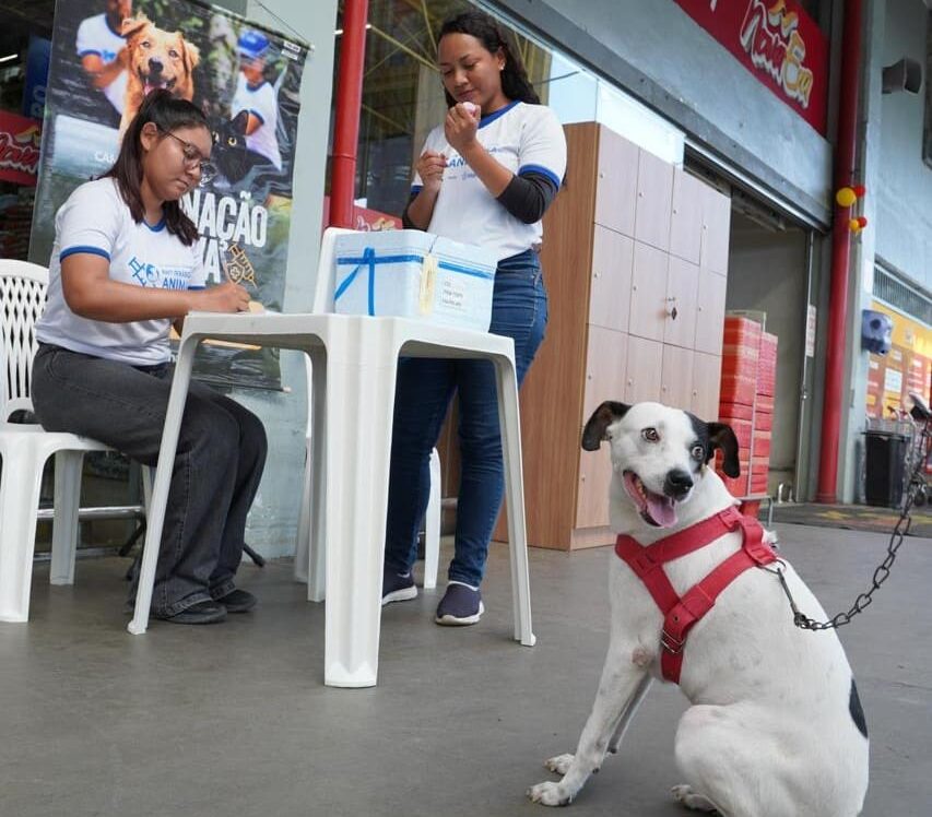 Com mais de 268 mil animais vacinados, campanha antirrábica da prefeitura será prorrogada até janeiro