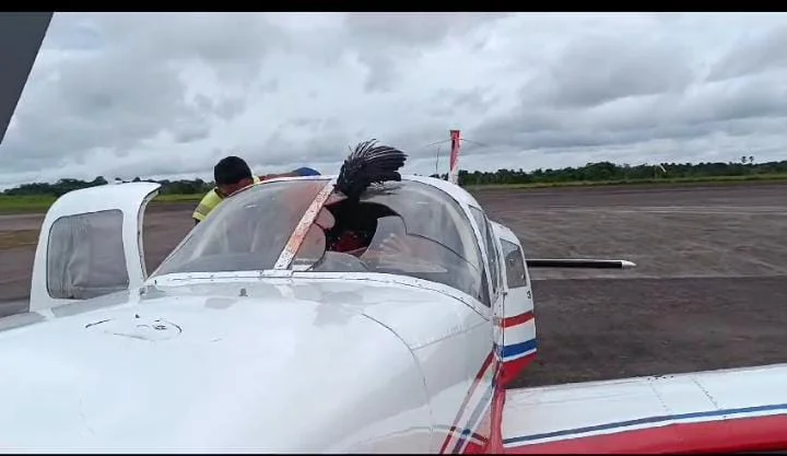 Urubu colide com avião e quase causa tragédia no Amazonas