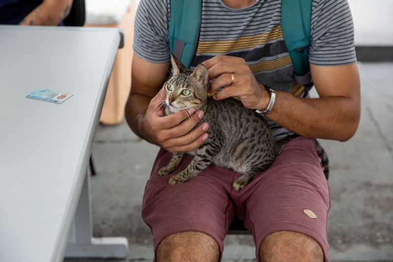 Prefeitura abre agendamento para castração de cães e gatos no CCZ