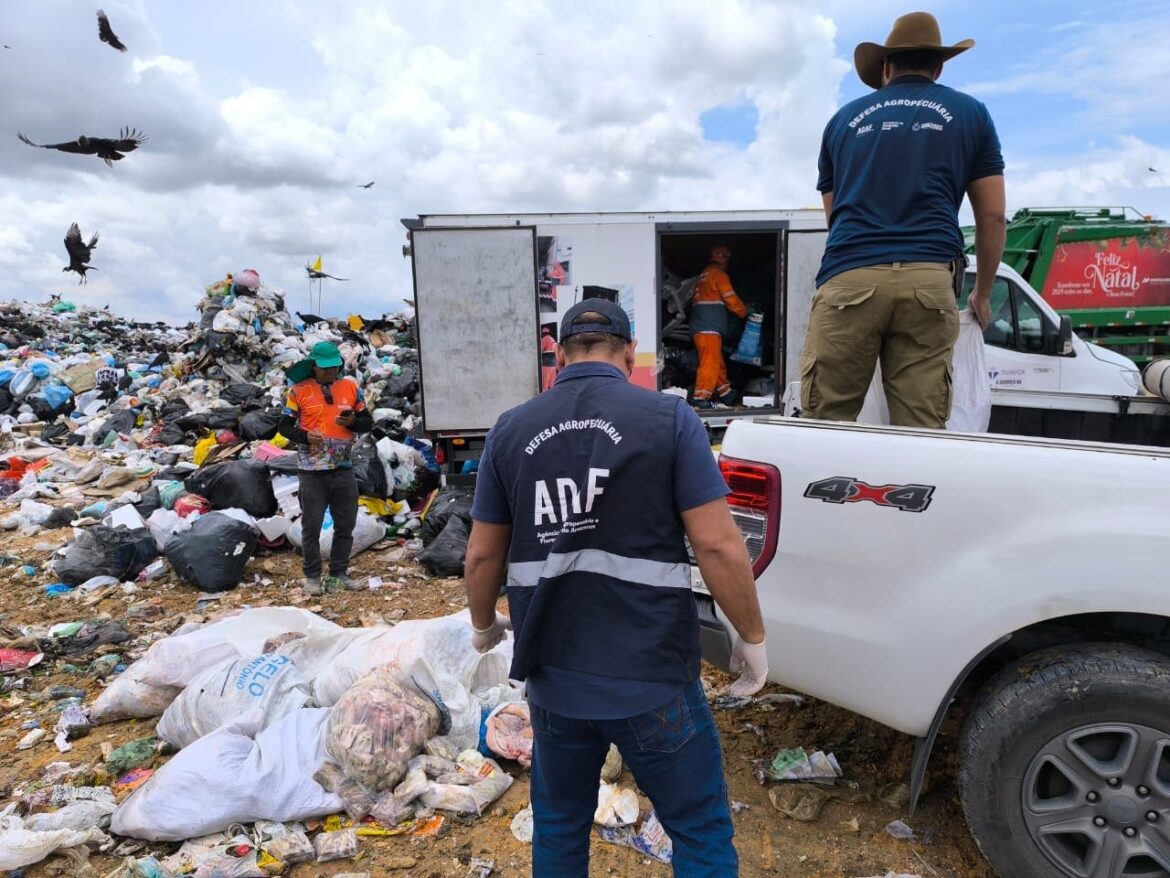 Adaf apreende 400 quilos de carne oriunda de abate ilegal em açougue clandestino