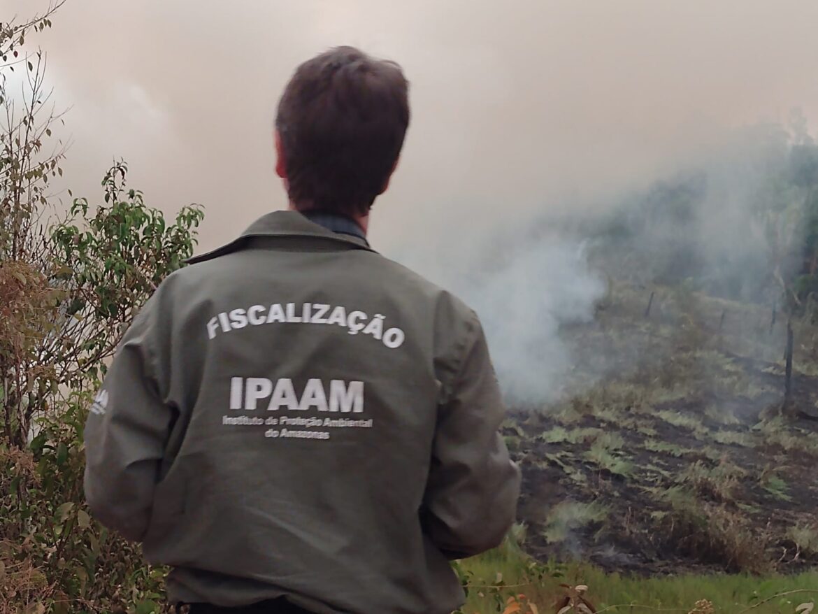 Fiscalizações ambientais do Ipaam crescem 281,38% com foco no combate ao desmatamento