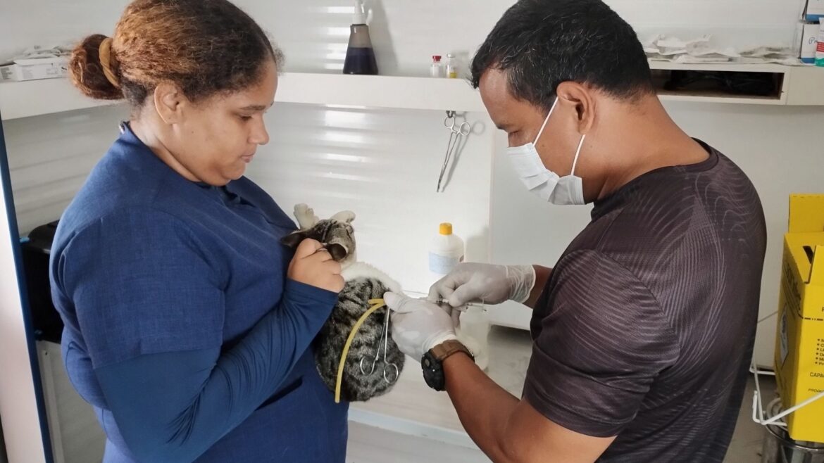 Castramóvel da Prefeitura de Manaus atende tutores de cães e gatos no Santa Etelvina