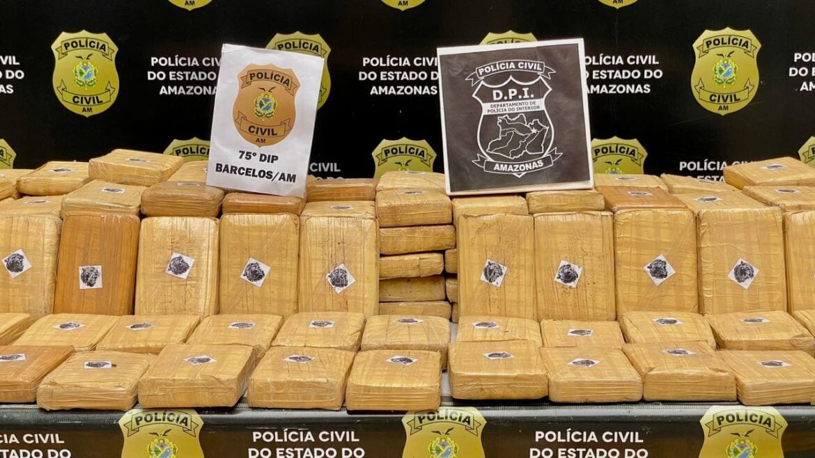 Polícia apreende meia tonelada de skunk avaliada em R$ 10 milhões e prende dupla em Barcelos
