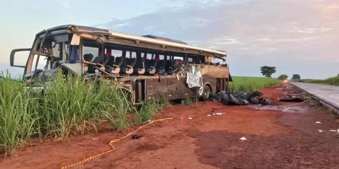 Acidente entre caminhão e ônibus universitário deixa 12 mortos em SP