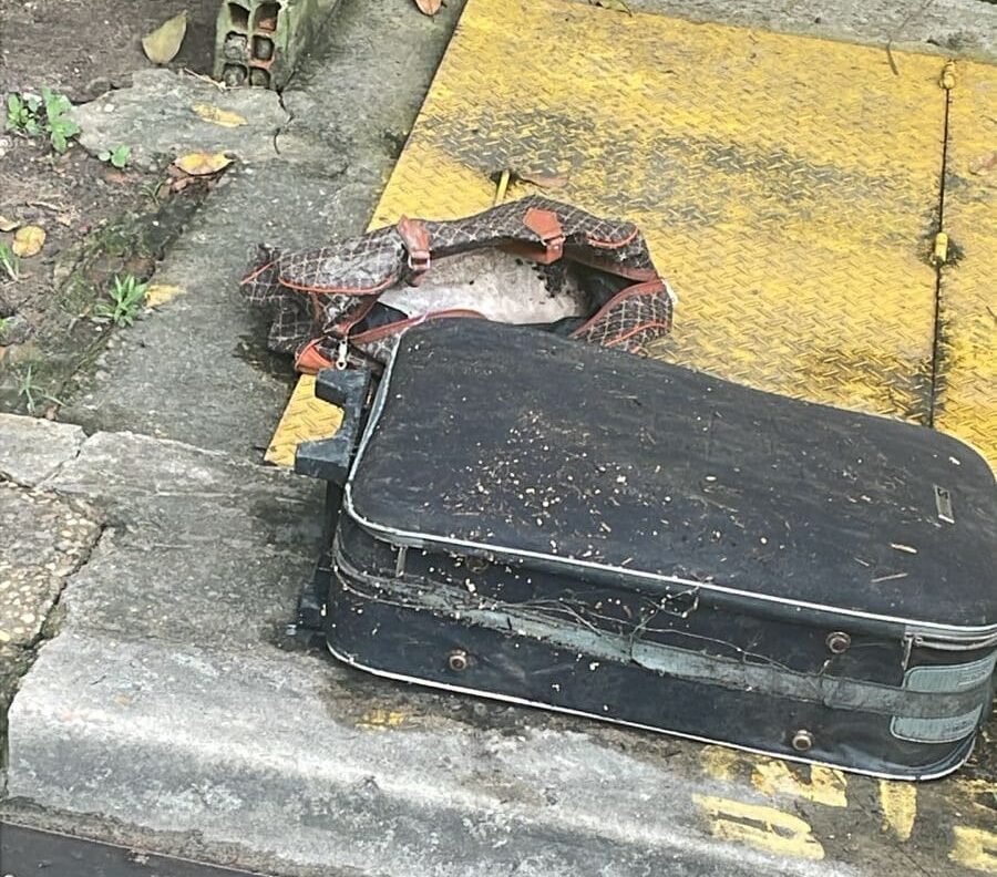Corpo esqu@rtejado é encontrado dentro de mala em igarapé de Manaus