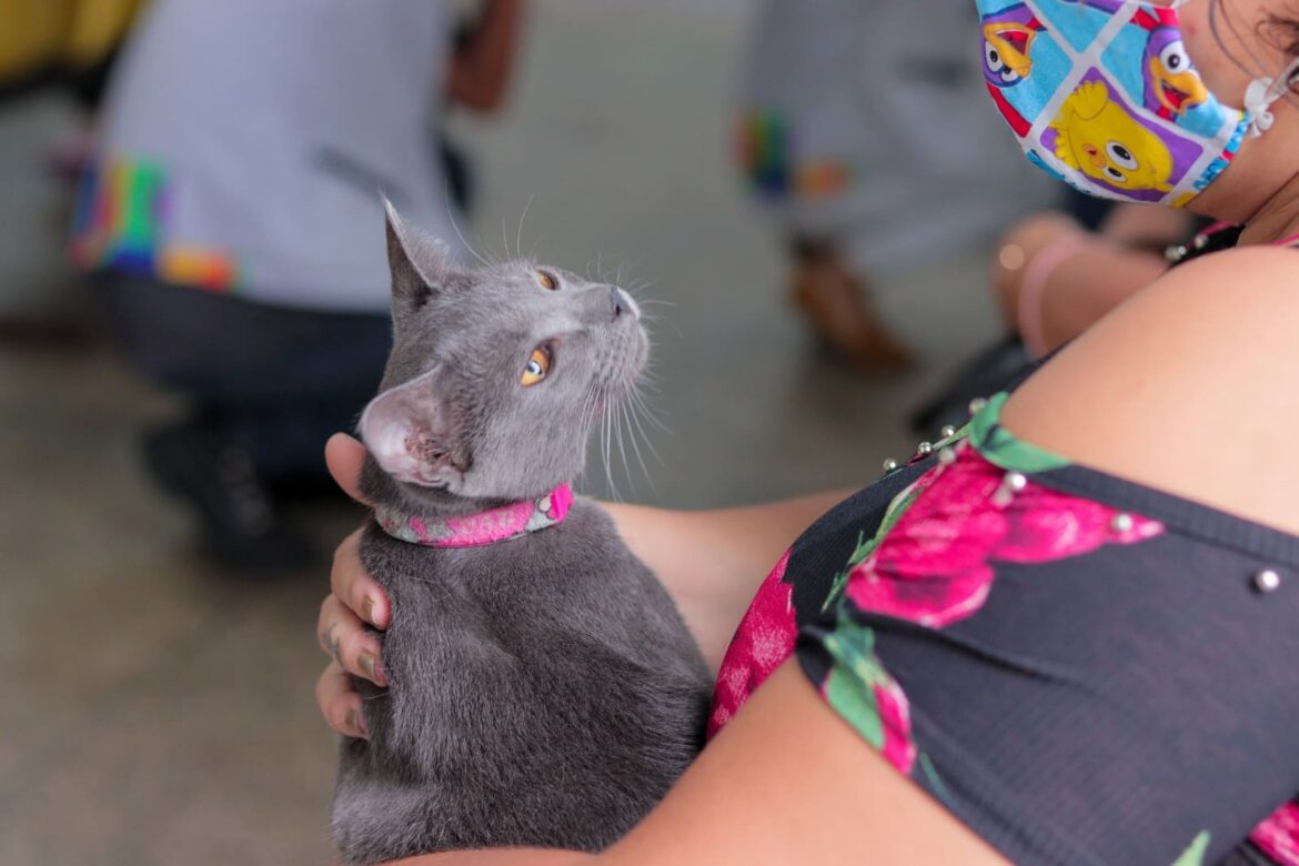 Campanha de vacinação antirrábica animal da Prefeitura de Manaus termina na próxima segunda-feira, dia 31