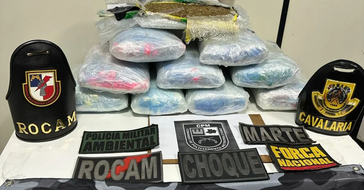 Operação policial apreende 10 kg de drogas escondidas em caixa de isopor com açaí no Amazonas