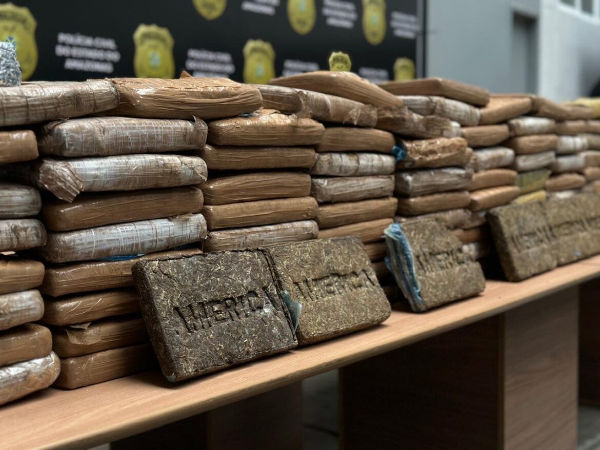 PC-AM apreende 150 quilos maconha tipo skunk em uma casa na comunidade Grande Vitória