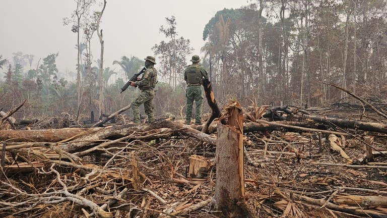 Ibama aplica R$ 173 milhões em multas por desmatamentos equivalentes a 26 mil campos de futebol em Apuí-AM