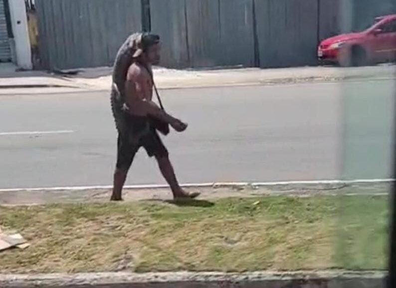Homem é flagrado carregando um filhote de jacaré no ombro em avenida de Manaus 